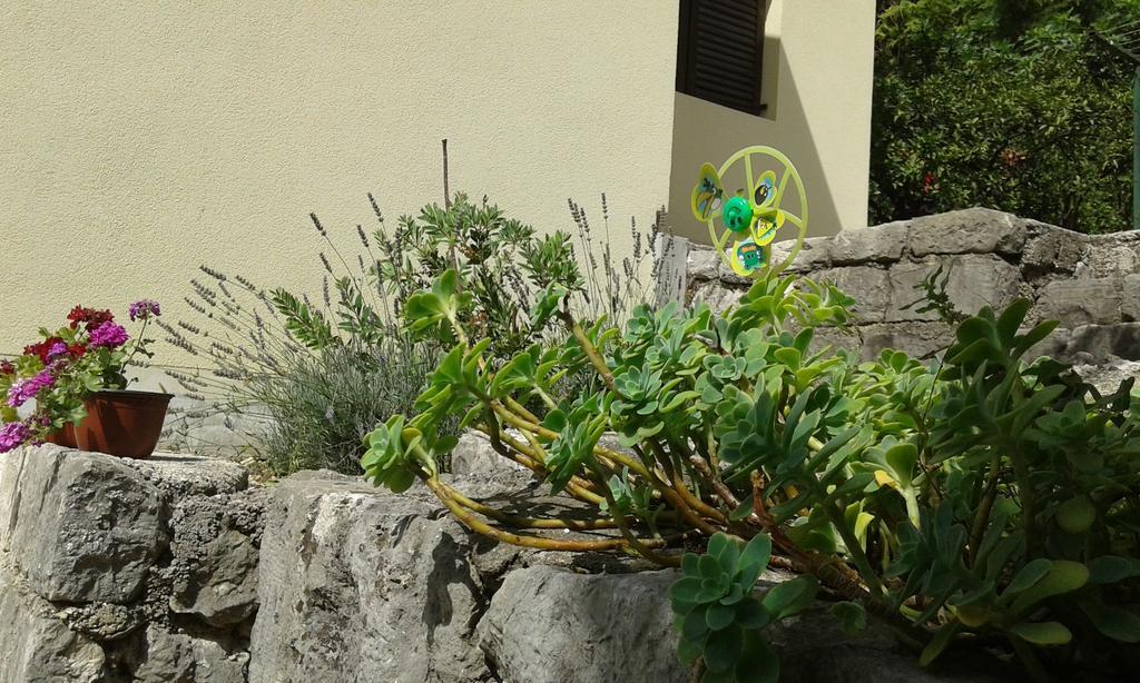 Apartment Adela Kotor Eksteriør bilde