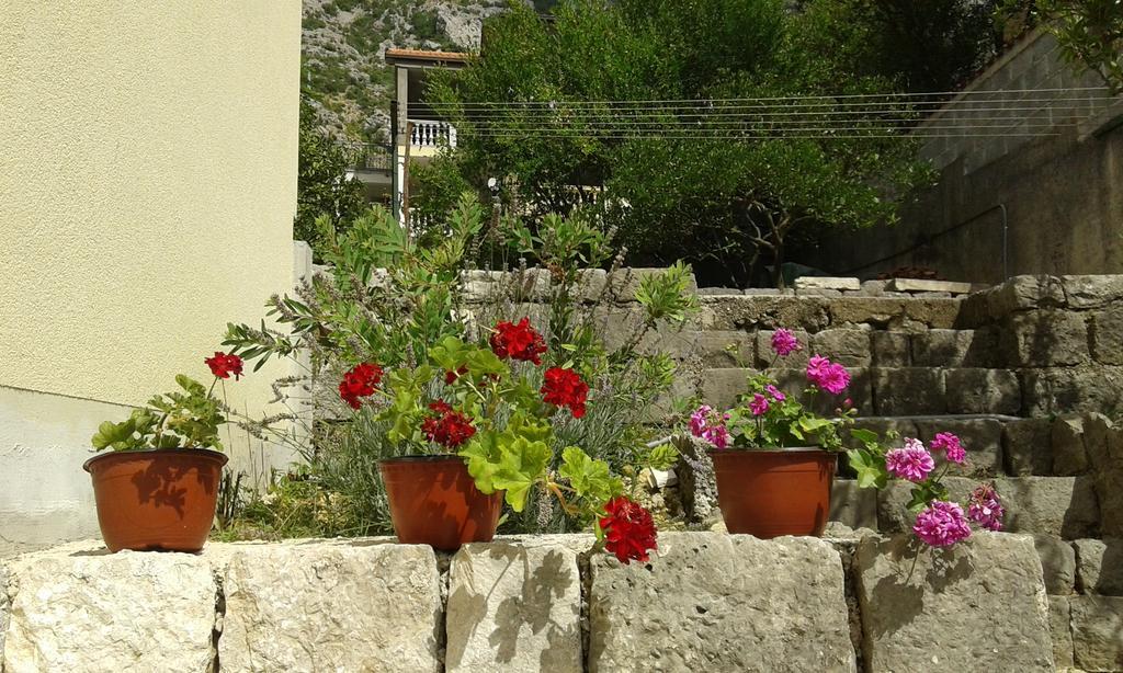 Apartment Adela Kotor Eksteriør bilde